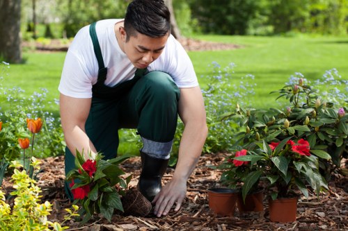 Sustainable watering and native planting in Camden courtyard